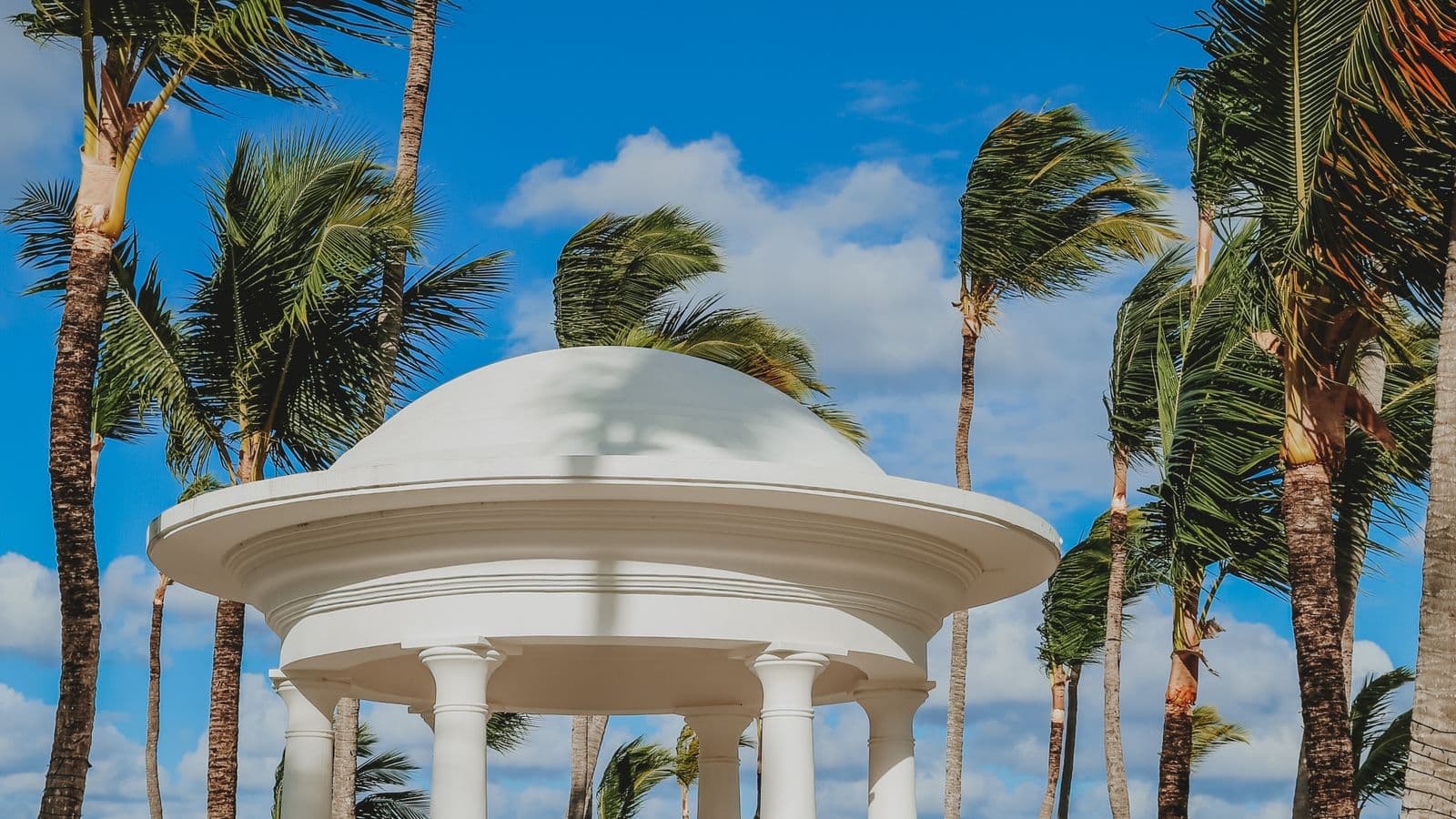 White wedding gazebo surrounded by palm trees at a beach resort