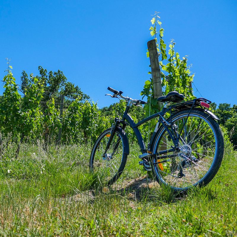 Cussac Fort Medoc Biking