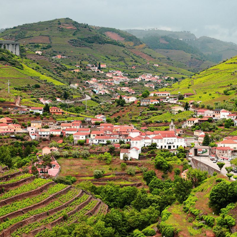 Peso Da Regua
