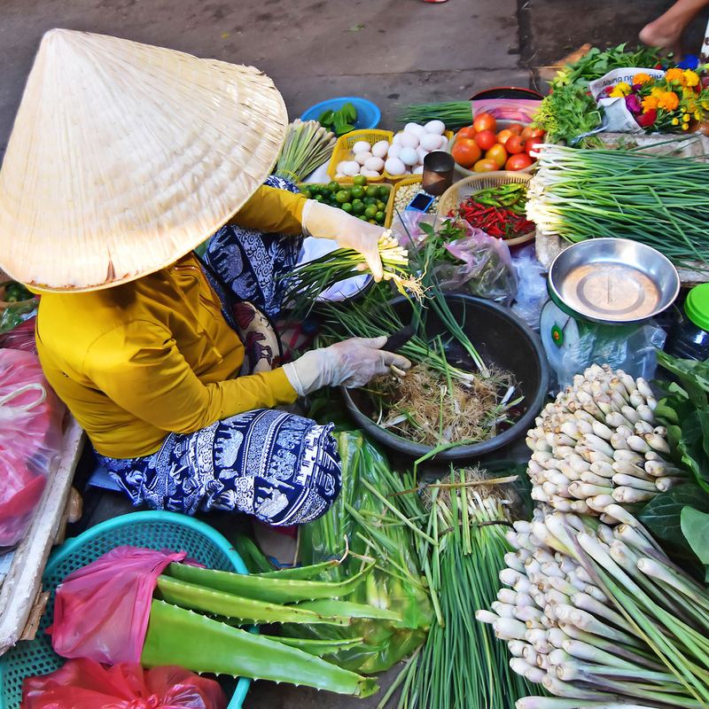 Hanoi Market