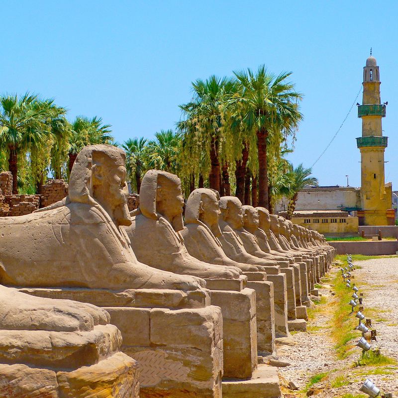 Luxor Sphinx Avenue