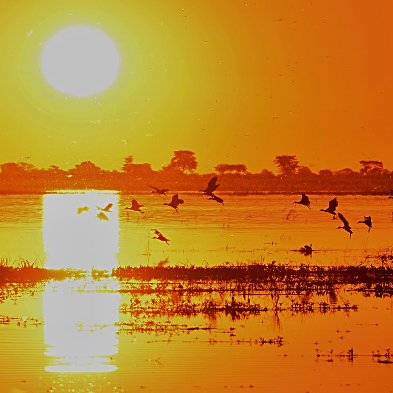 Zimbabwe Zambezi River