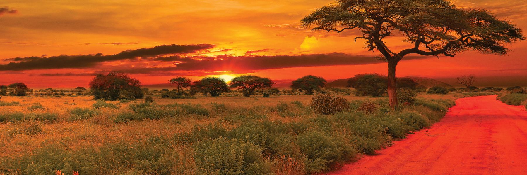 Tanzania: The Serengeti & Beyond