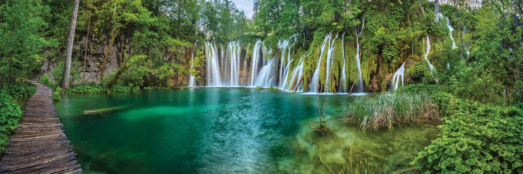 The Croatian