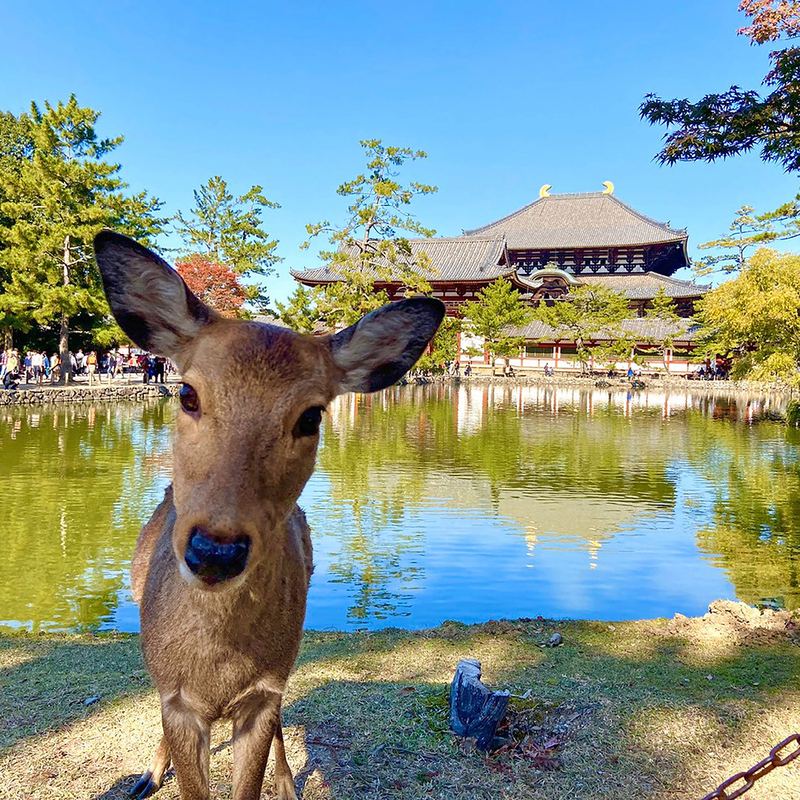 Nara Tosi Temple