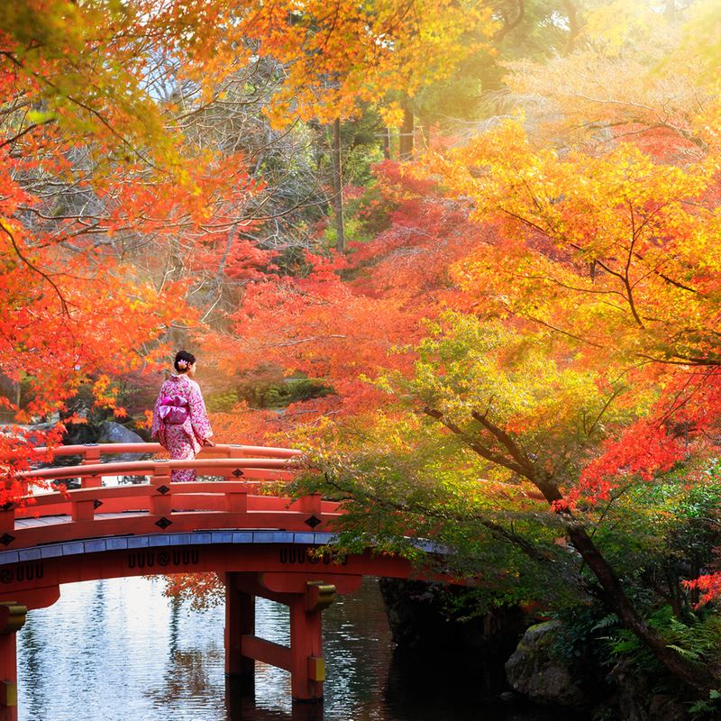 Kyoto Bridge