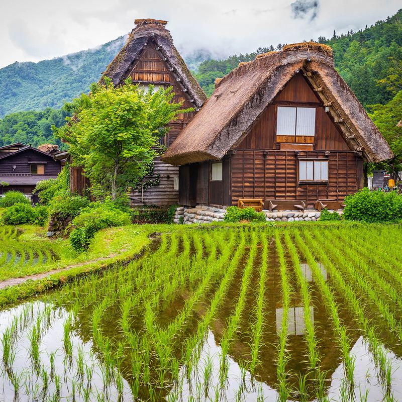 Shirakawa